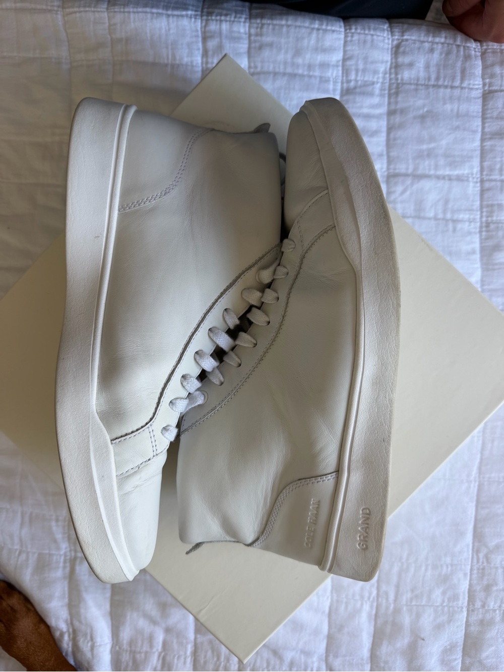 Cole Han Shoes size 10